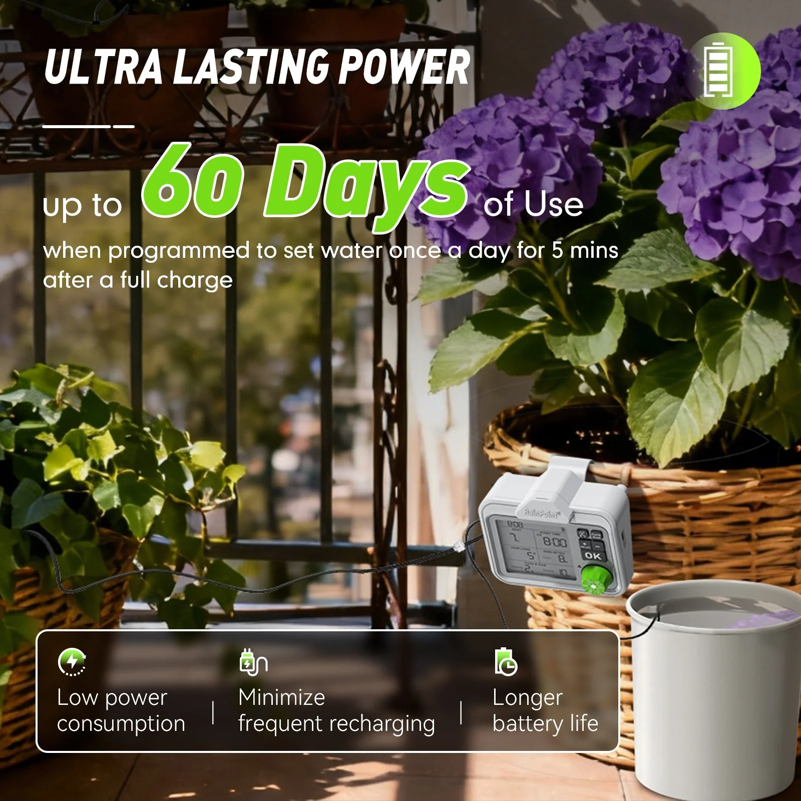 RAINPOINT Automatic Plant Watering System With Large Display - Image 5