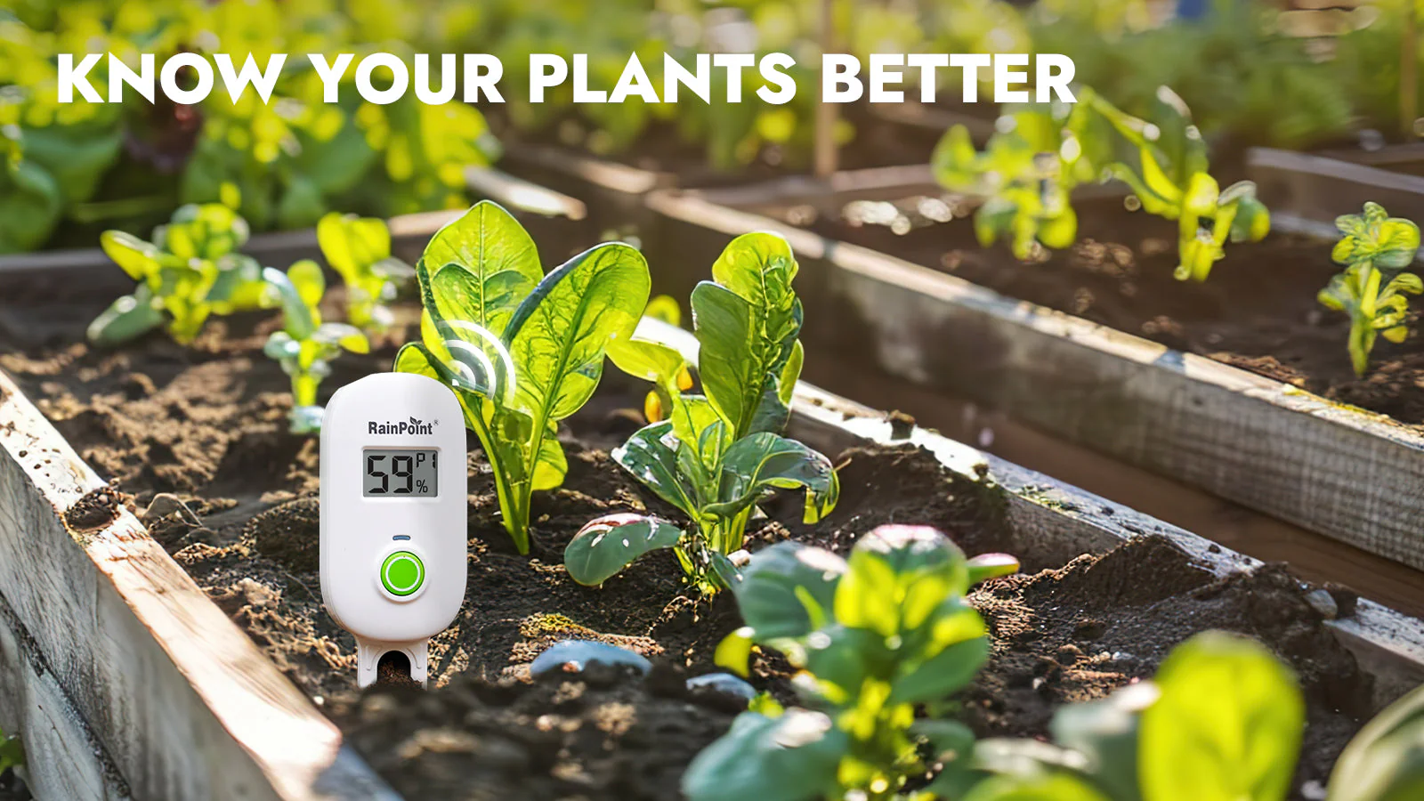 Smart Digital Wireless Plant Moisture Meter - Image 19