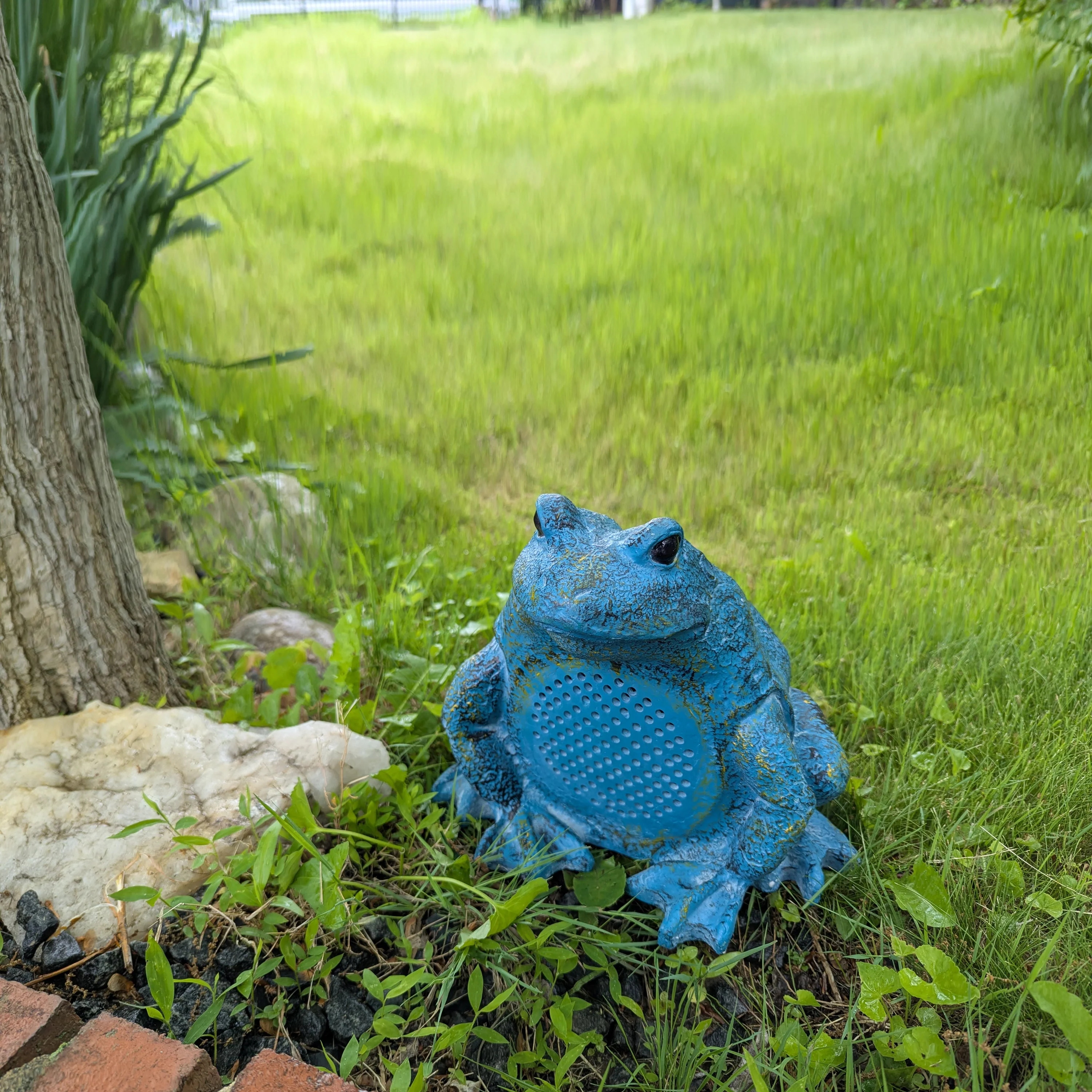 SDX Audio Waterproof Rechargeable Durable Polymer Wireless Frog Rock Speaker - Image 8