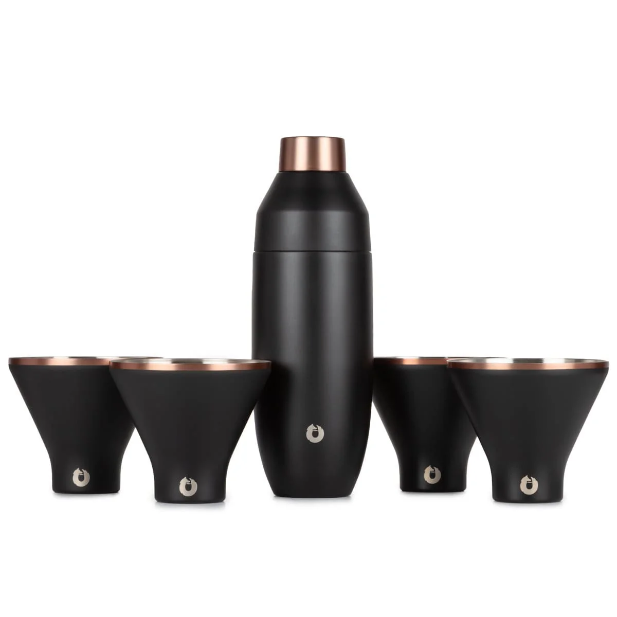 Stainless Steel Cocktail Shaker and Martini Glass Set